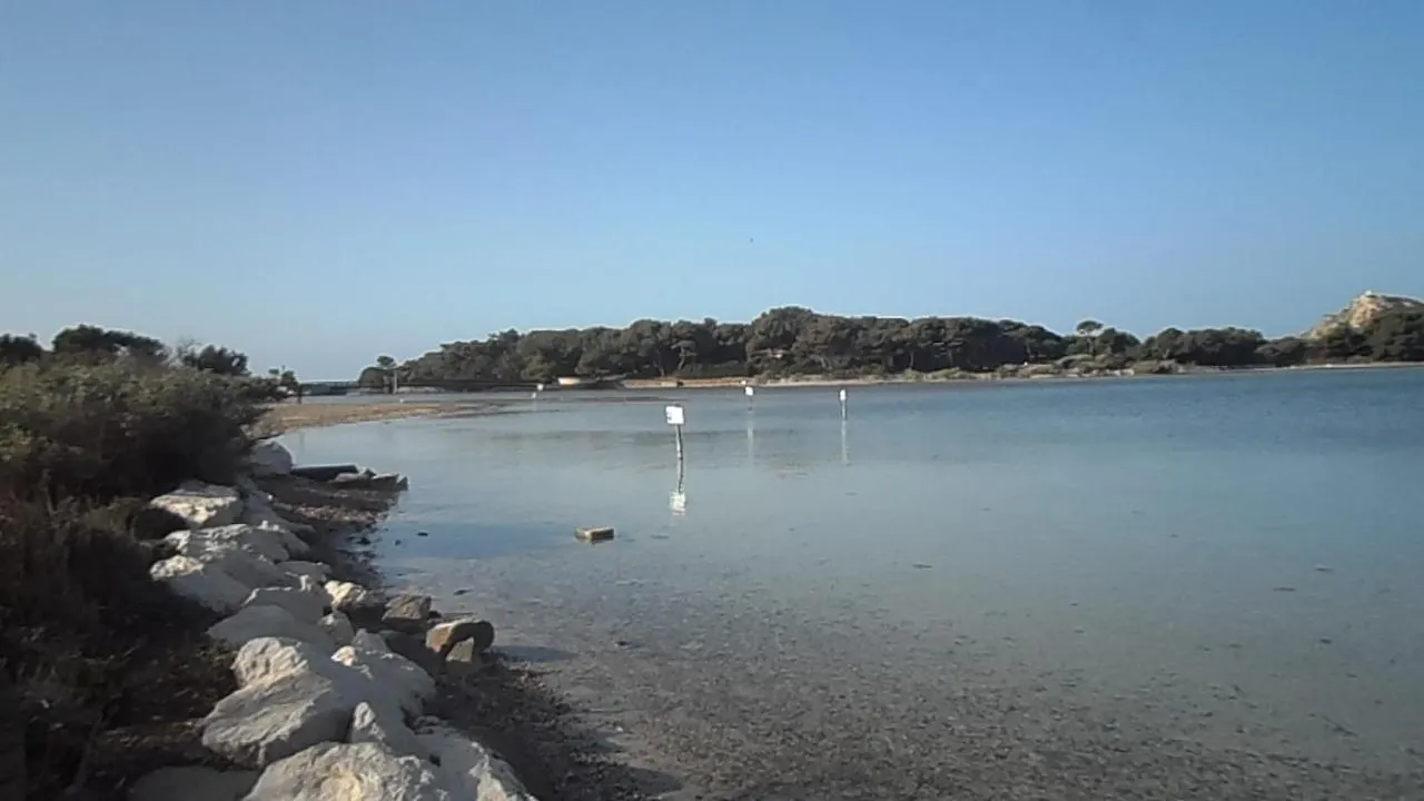Appartement Vue Sur Mer Six-Fours-les-Plages Apartamento